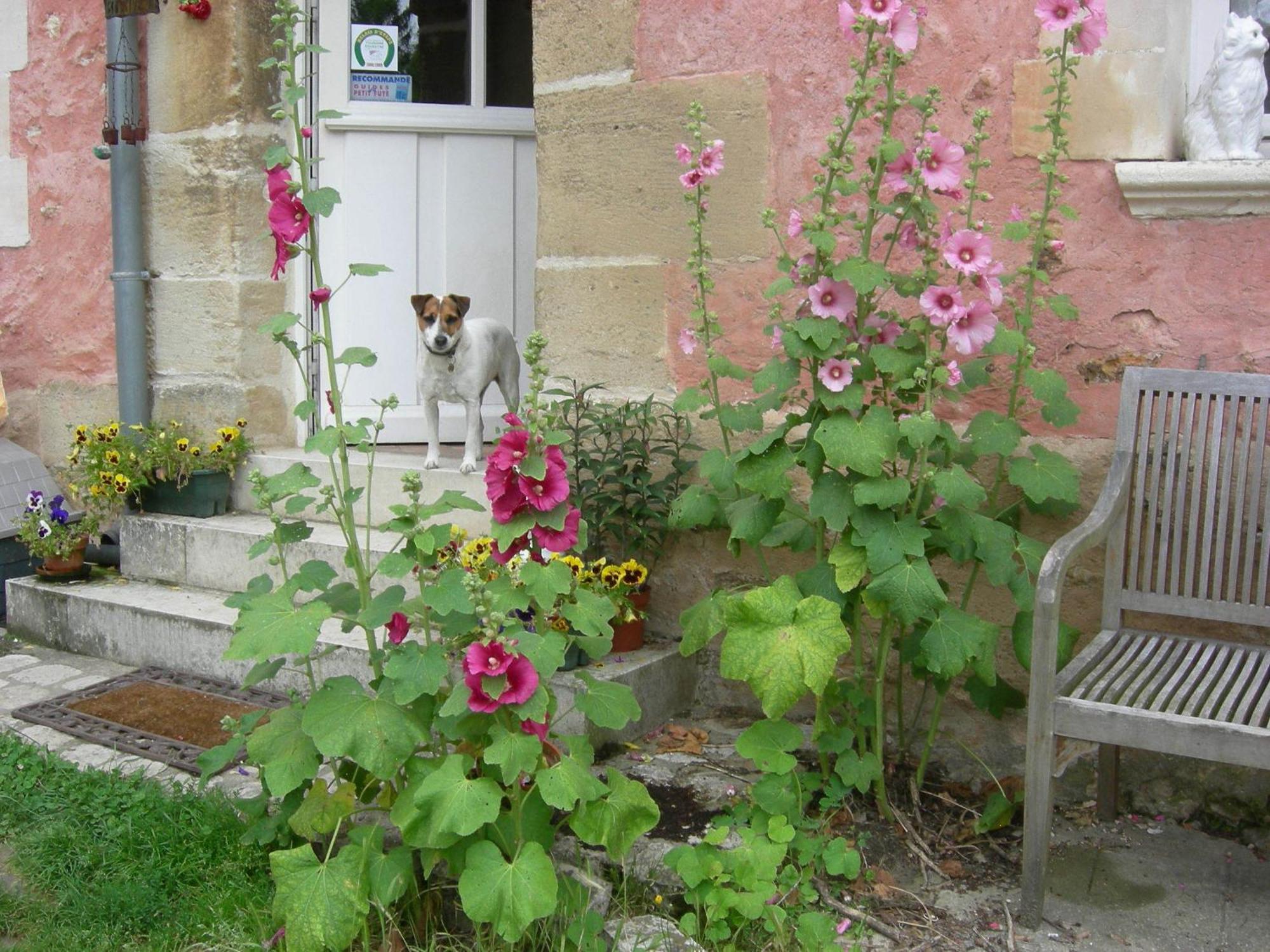 La Ferme Rose Acomodação com café da manhã Cergy Exterior foto